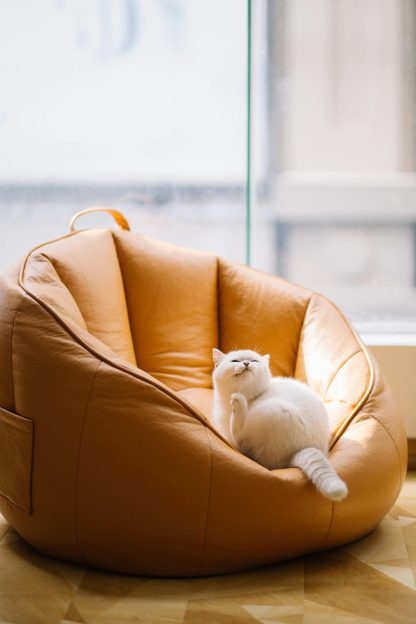 Orange Sofa Chair